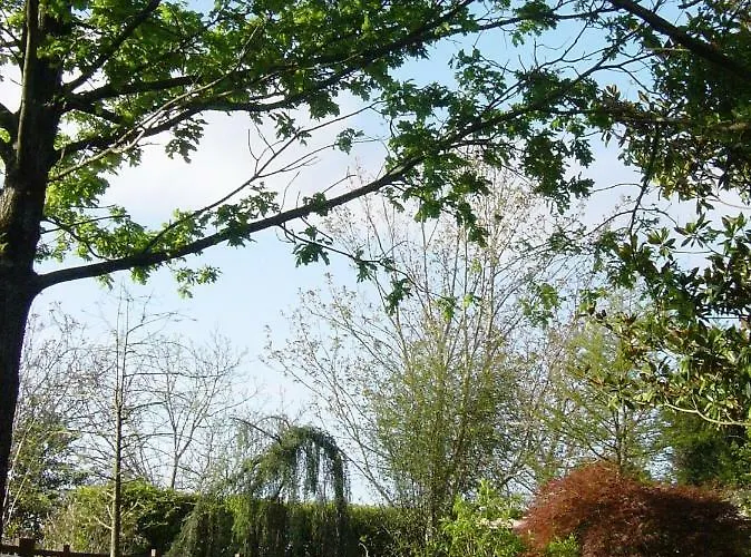 Casa rural Arraigorri *