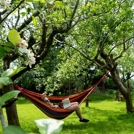 Landsted Arraigorri *